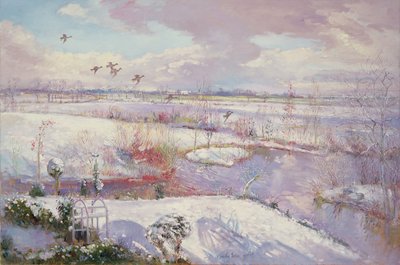 Flug nach unten von Timothy Easton